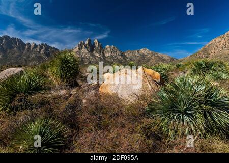 Paesaggio del deserto di Chihuahuan vicino al Campground di Aguirre Springs, al Monumento Nazionale delle Montagne Organ-Desert Peaks, New Mexico, USA Foto Stock