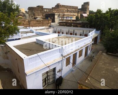 Tipico del Rajasthan: Le mucche sacre sono a piedi per le strade Foto Stock