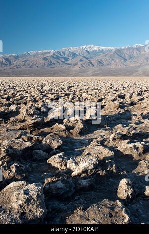 I depositi di sale grossolani coprono il campo da Golf del Diavolo, una grande vaschetta di sale sul pavimento della Valle della morte, California. Foto Stock