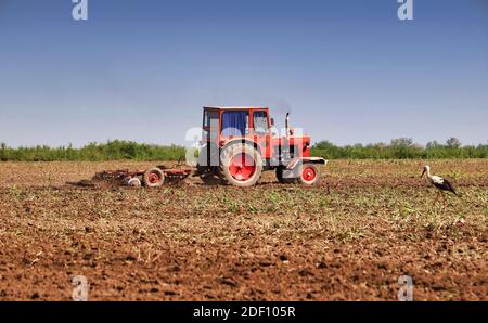 Terreno agricolo con erpice a disco Foto Stock