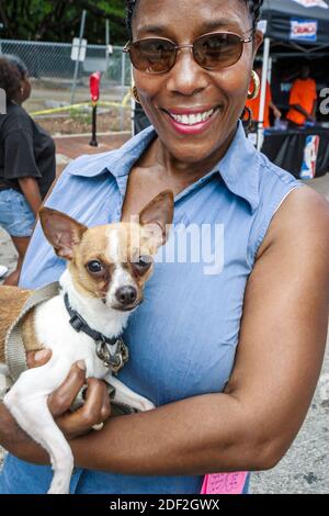 Miami Florida,Coconut Grove Grand Avenue Black African Africans,donna femmina cane Chihuahua piccolo cane tiene, Foto Stock