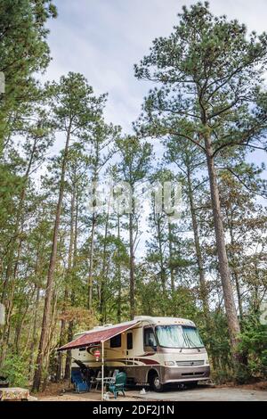 Alabama Rogersville Joe Wheeler state Park, campeggio, camper, alberi di pino, Foto Stock