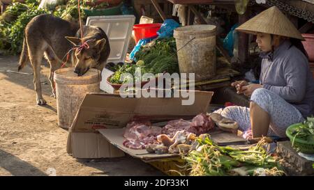 SCENA DI MERCATO DI STRADA CON LADY E CANE A HOI AN, VIETNAM Foto Stock