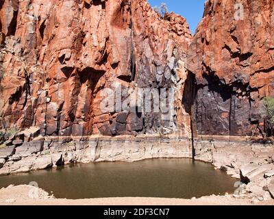 Pool di Python, Millstream Chichester National Park, Pilbara, Australia occidentale Foto Stock