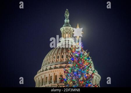 Washington, Stati Uniti d'America. 02 dicembre 2020. Con il Campidoglio degli Stati Uniti sullo sfondo, l'albero di Natale del Campidoglio degli Stati Uniti è illuminato durante la cerimonia di illuminazione annuale sul West Front Lawn del Campidoglio degli Stati Uniti a Washington, DC., mercoledì 2 dicembre 2020. Credit: Rod Lamkey/CNP | Usage worldwide Credit: dpa/Alamy Live News Foto Stock