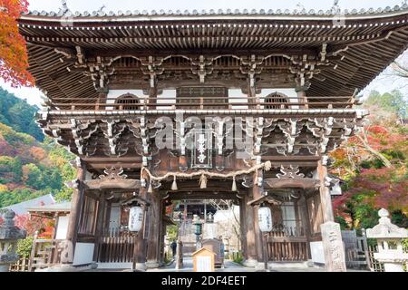 Kyoto, Giappone - colore delle foglie autunnali al Tempio Yoshiminedera di Kyoto, Giappone. Il Tempio originariamente costruito nel 1029. Foto Stock