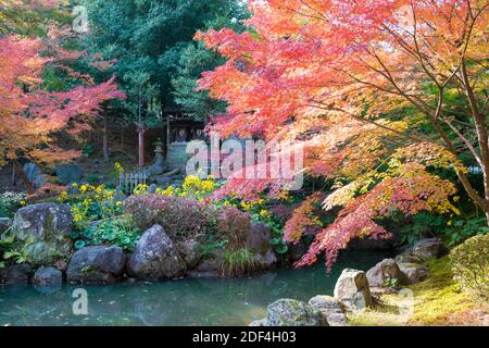 Kyoto, Giappone - colore delle foglie autunnali al Santuario Nagaoka Tenmangu di Nagaokakyo, Kyoto, Giappone. Il Santuario è stato una storia di oltre 1000 anni. Foto Stock