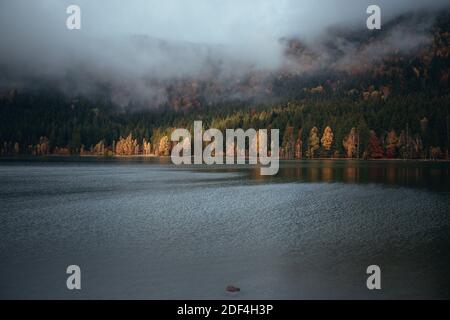 Lago di foresta foggy nella natura selvaggia nella stagione autunnale. Alberi di betulla riflessi in acqua Foto Stock