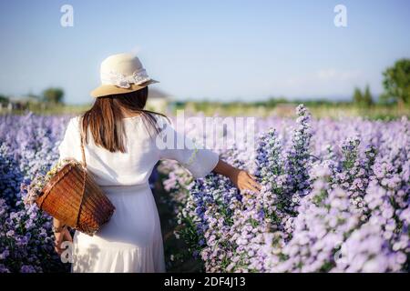 Asian giovane viaggiatore felice asian donna con abito che visita il campo di fiori Margaret Aster in giardino nella stagione invernale a Chiang mai, Thailandia. Foto Stock