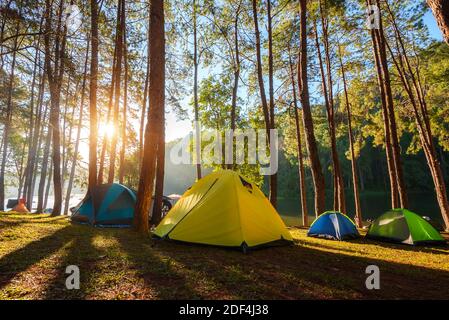 Tende dome in pineta accanto al lago nella nebbia all'alba a Pang Ung (Pang Tong Reservoir), provincia di Mae Hong Son vicino Chiang mai, Thailandia Foto Stock