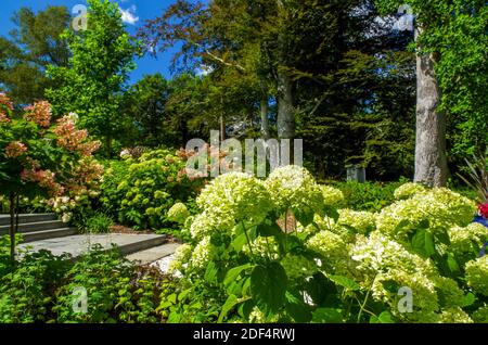Giardino a Heritage Gardens, Sandwich, ma Foto Stock