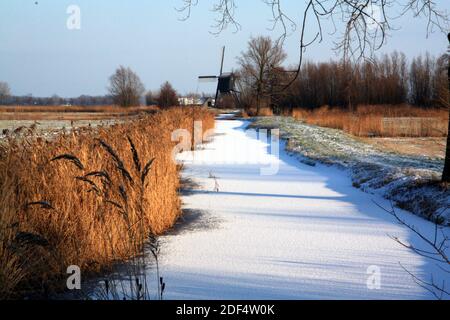 Un paesaggio invernale con percorso pedonale coperto di intatto pesante Neve con un vecchio mulino a vento nei Paesi Bassi Foto Stock