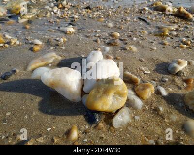 Piccole rocce sparse sulla spiaggia da vicino Foto Stock