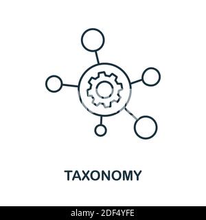 Icona tassonomia. Elemento stile linea dalla raccolta di gestione della comunità. Icona Taxonomy sottile per modelli, infografiche e altro ancora Illustrazione Vettoriale