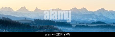 Panorma delle Alpi bernesi con Wetterhorn, Schreckhorn, Finsteraarhorn, Eiger, Mönch e Jungfrau in una mattinata gelida vista da Emmental Foto Stock