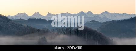 Panorma delle Alpi bernesi con Wetterhorn, Schreckhorn, Finsteraarhorn, Eiger, Mönch e Jungfrau in una mattinata gelida vista da Emmental Foto Stock