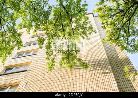 un albero verde si erge accanto ad una casa gialla alla luce del sole e un'ombra cade sulla casa Foto Stock