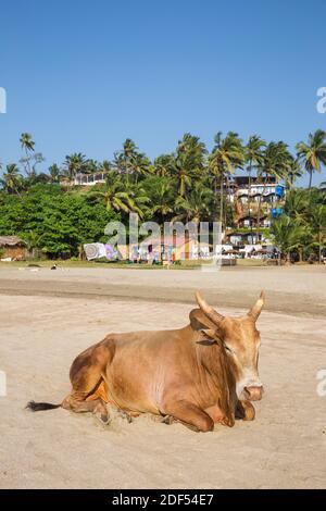 India, Goa, Ozran Beach conosciuta come Little Vagator Beach Foto Stock