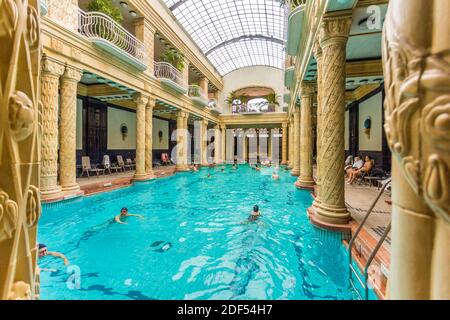 Le persone che nuotano nelle Terme di Gellért, Budapest, Ungheria, Europa Foto Stock