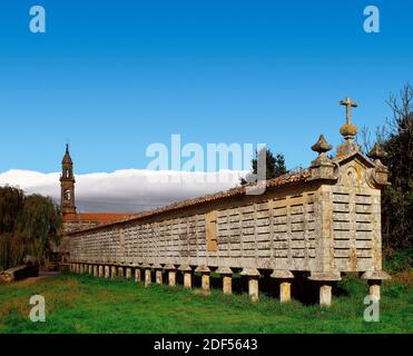 Spagna, Galizia, provincia di la Coruña. Orreo di Carnota. Fu costruita dall'architetto Gregorio Quintela nel 1768, sebbene l'aspetto attuale sia dovuto ad un ampliamento nel 1783. Il più grande horreo del mondo. Foto Stock