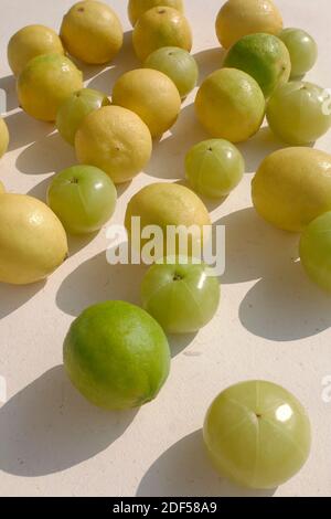 UNA VITA MORTA DI FRUTTI DI BOSCO, AMLA E LIMONI INDIANI (NIMBOO) Foto Stock