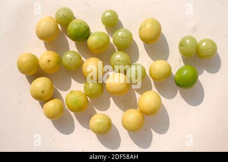 UNA VITA MORTA DI FRUTTI DI BOSCO, AMLA E LIMONI INDIANI (NIMBOO) Foto Stock