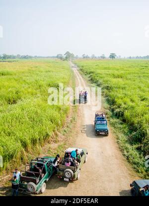 Kaziranga, Assam, India il 13 novembre 2014 - turisti che si godono Jeep Safari sulla strada fangosa e rotta nelle foreste del Kaziranga National Park, Assam, NOR Foto Stock