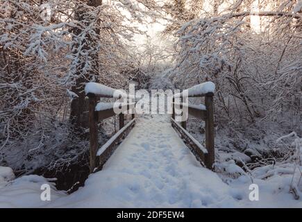 Neve ponte coperto in legno con gradini nella parte anteriore della foresta nella stagione invernale Foto Stock