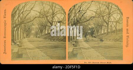 Beacon Street Mall., immagine, Stereographs, 1850 - 1930 Foto Stock