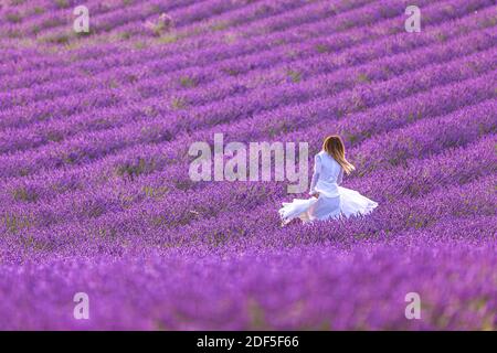 Bella giovane donna che corre in un campo di lavanda. Foto Stock