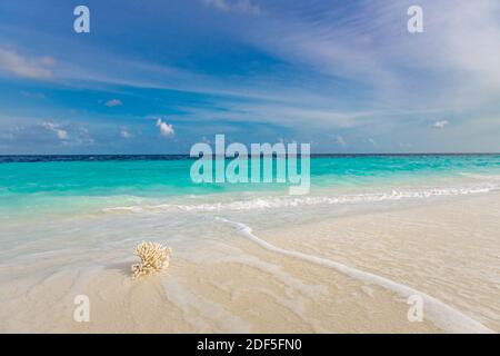 Closeup di sabbia sulla spiaggia e cielo blu estivo. Paesaggio panoramico della spiaggia. Spiaggia tropicale vuota stagcape. Rilassanti vibrazioni estive, ispirazione positiva per l'umore Foto Stock