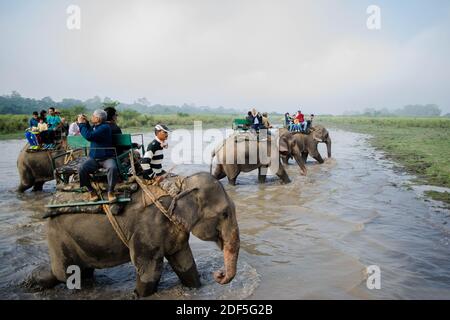 Kaziranga, Assam, India il 14 novembre 2014 - i turisti che amano il safari degli elefanti nelle lussureggianti foreste verdi del Parco Nazionale di Kaziranga, Assam, Nord-est, Ind Foto Stock