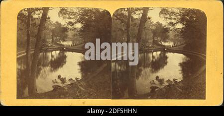 Mt. Lago di Auburn., immagine, Stereographs, 1850 - 1930 Foto Stock