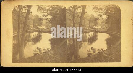 Mt. Lago di Auburn., immagine, Stereographs, 1850 - 1930 Foto Stock