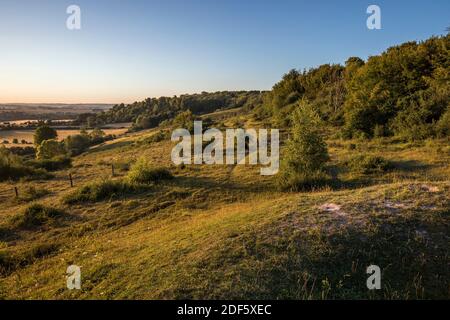 Broughton Down; Hampshire; Regno Unito Foto Stock