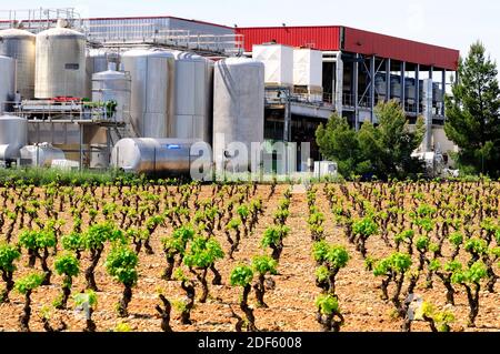 Grandi cisterne dell'impianto di produzione del vino e il vigneto in primo piano nella Francia centrale. Foto Stock