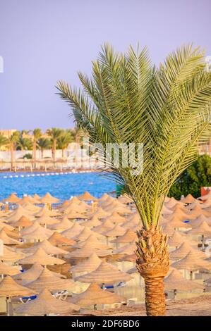 Relax in paradiso spiaggia - Chaise lounge e ombrelloni - destinazione di viaggio Hurghada, Egitto Foto Stock