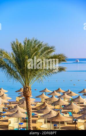 Relax in paradiso spiaggia - Chaise lounge e ombrelloni - destinazione di viaggio Hurghada, Egitto Foto Stock