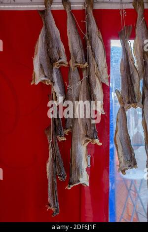 Primo piano di merlano essiccato (o merlano) pesce su un mercato del pesce Foto Stock