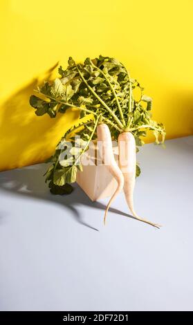 Due verdure di radice di rafano di daikon su sfondo giallo. Spazio di copia Foto Stock