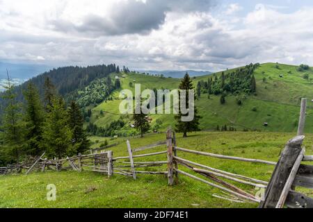 Paesaggio primaverile, Bucovina, Romania, paesaggio montano, Folwers sulla cima delle montagne, campo verde, Foto Stock