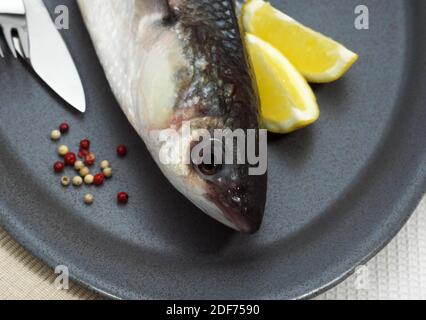 Cefalo, chelon labrosus, fresche Fishe sulla piastra con il limone Foto Stock