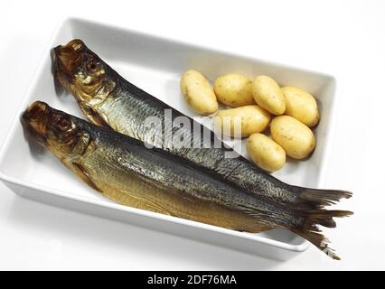 Aringa affumicata o Bouffi Bloaster, Clupea harengus, Pesci affumicati con patate Foto Stock