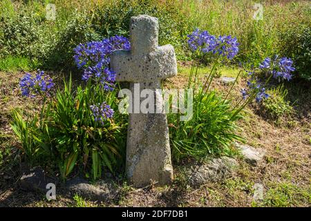 Francia, Finistere, Legendes Coast, Plouneour-Trez, croce di granito lungo il GR 34 sentiero escursionistico o dogana Foto Stock