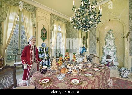 Francia, Calvados, Vendeuvre, castello di Vendeuvre, la sala da pranzo Foto Stock