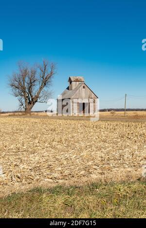 Granaio isolato in un paesaggio invernale arido. Illinois, Stati Uniti. Foto Stock