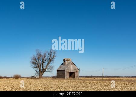 Granaio isolato in un paesaggio invernale arido. Illinois, Stati Uniti. Foto Stock