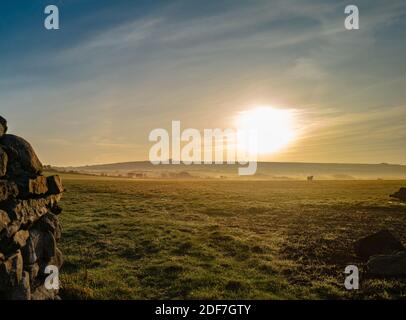 Nebbia all'alba sopra i terreni agricoli di Pembrokeshire Foto Stock