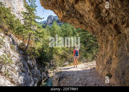 Francia, Alpi dell'alta Provenza, Estoublon, escursione delle Gole di Tr?van, sentiero scolpito nella roccia Foto Stock