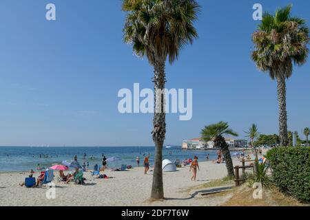 Francia, Herault, laguna di Thau, Meze, turisti su una spiaggia fiancheggiata da palme Foto Stock